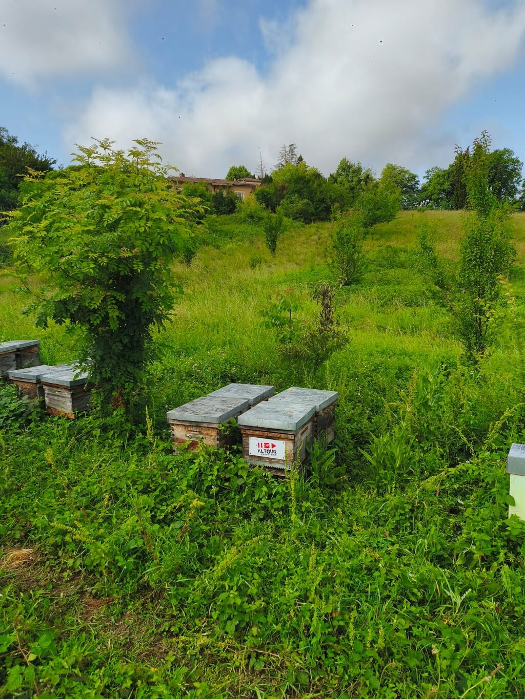 La ruche ALTOUR PRODUCTION