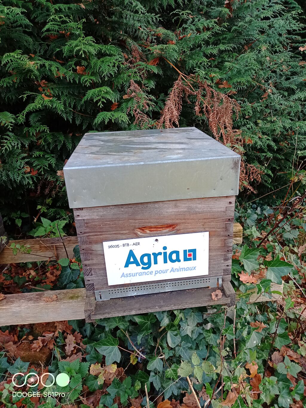 La ruche Agria Assurance pour Animaux