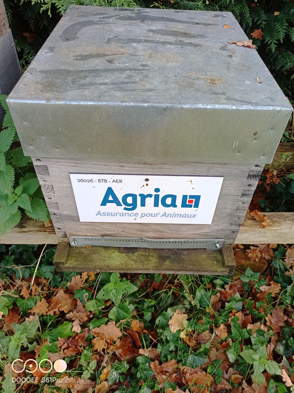 La ruche Agria Assurance pour Animaux