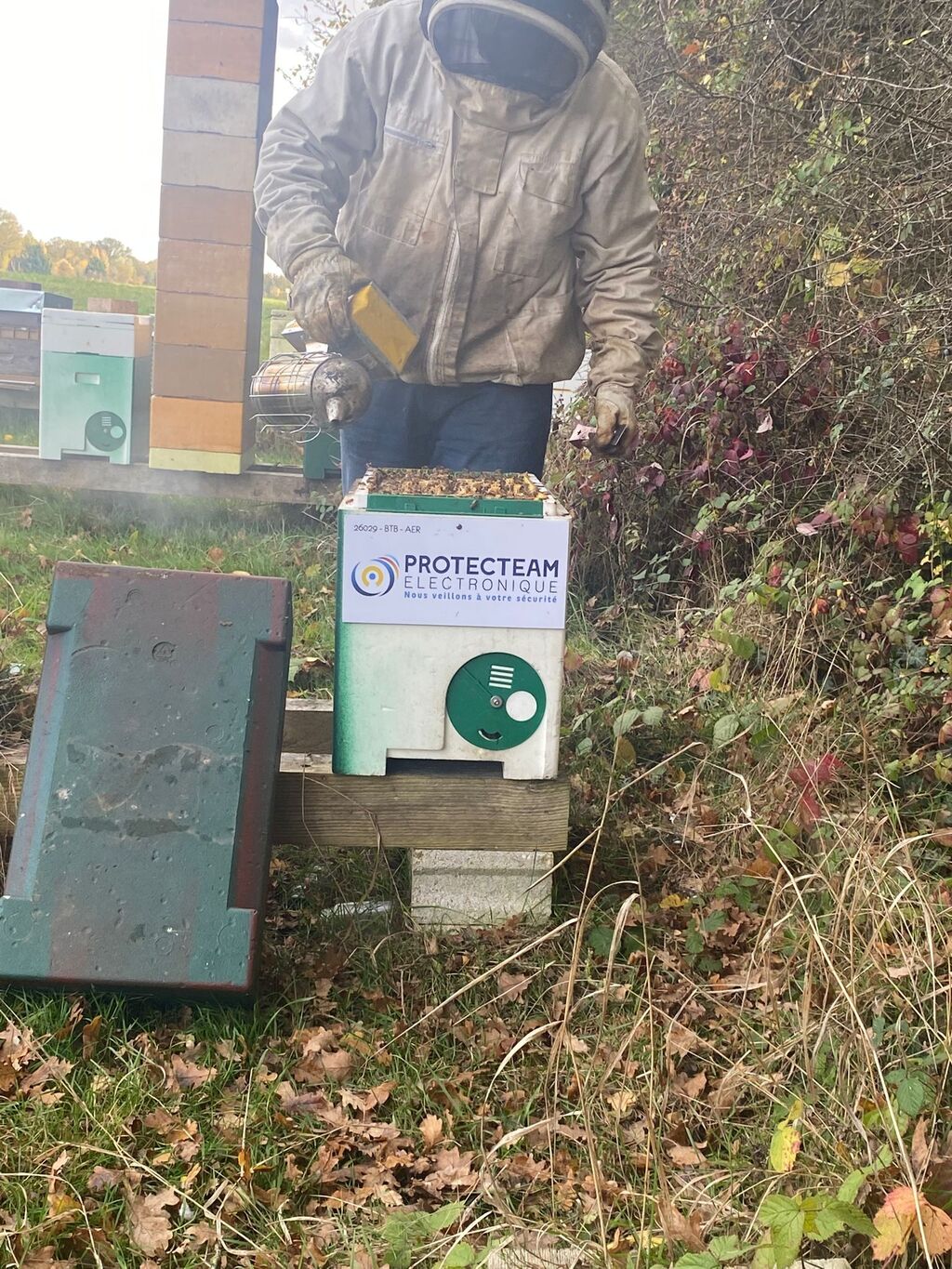 La ruche PROTECTEAM ELECTRONIQUE