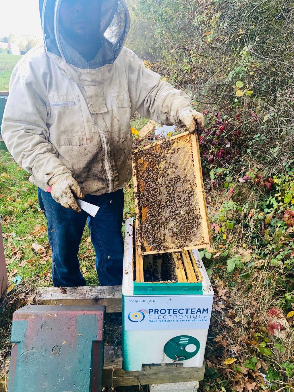 La ruche PROTECTEAM ELECTRONIQUE