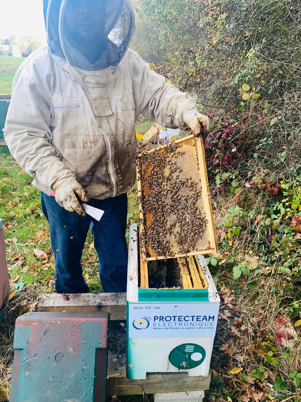La ruche PROTECTEAM ELECTRONIQUE