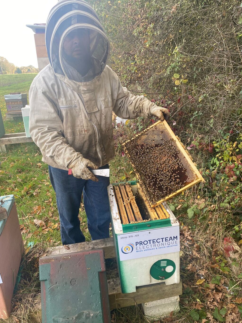 La ruche PROTECTEAM ELECTRONIQUE