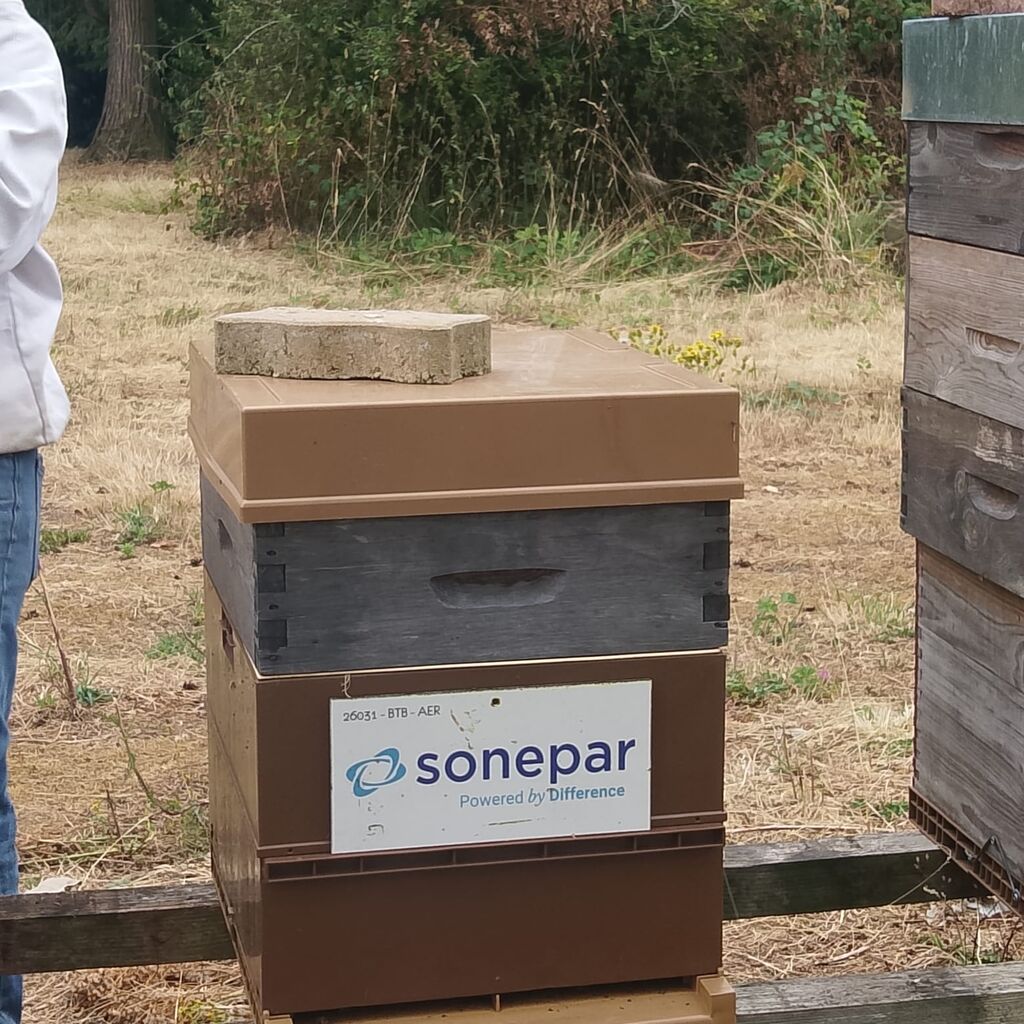La ruche SONEPAR