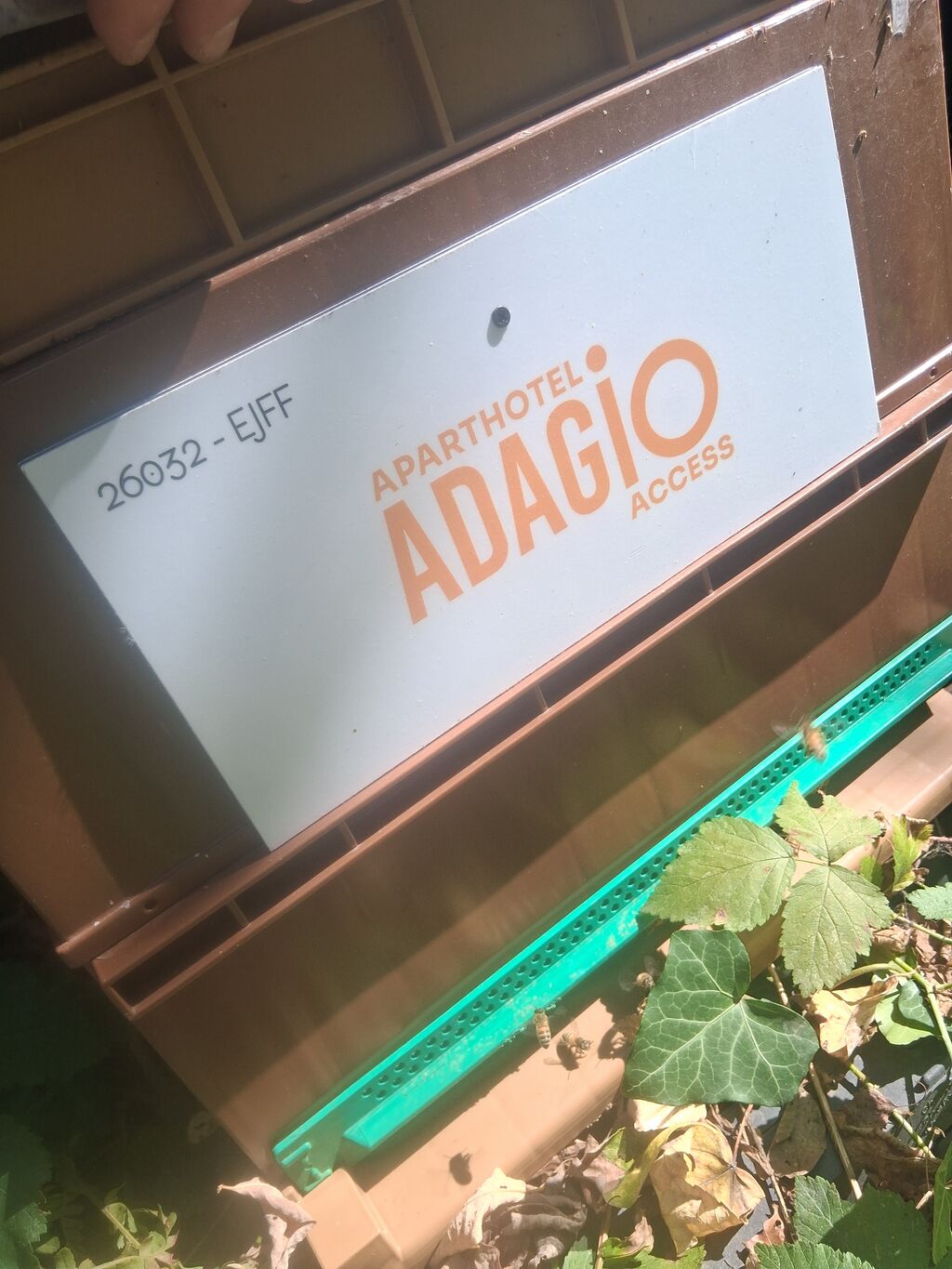 La ruche Adagio Access Carrières sous Poissy