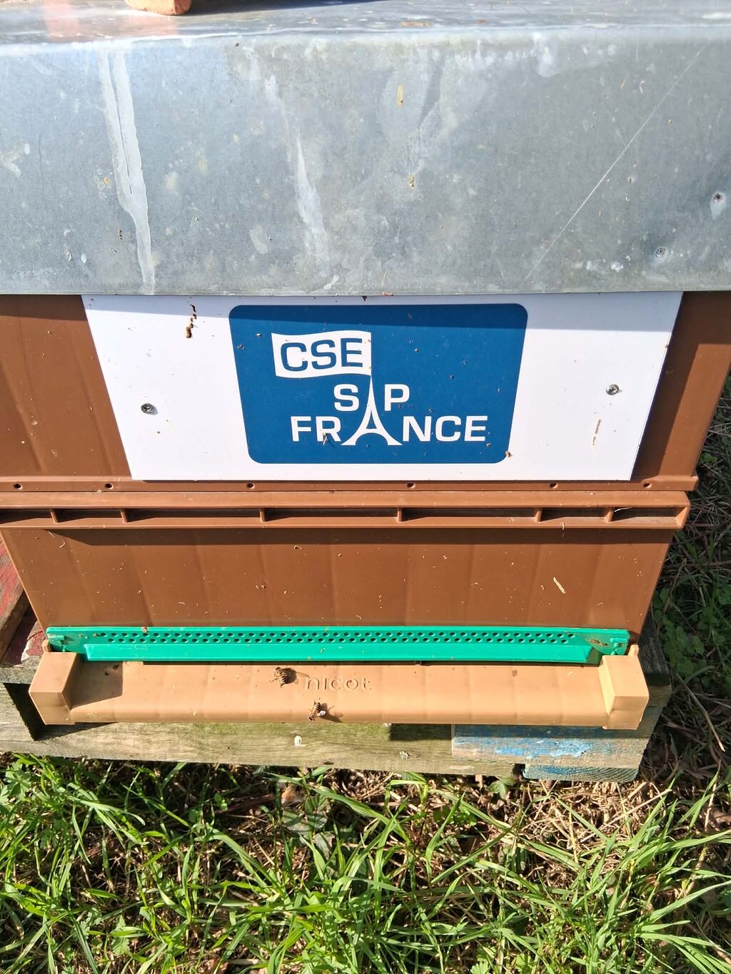 La ruche CSE SAP France