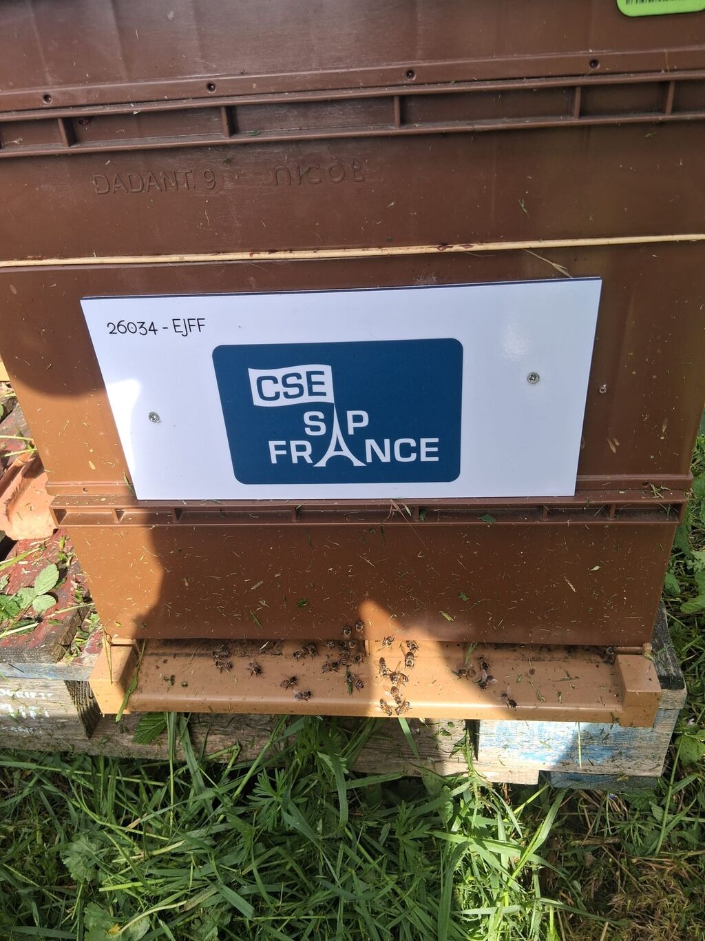 La ruche CSE SAP France