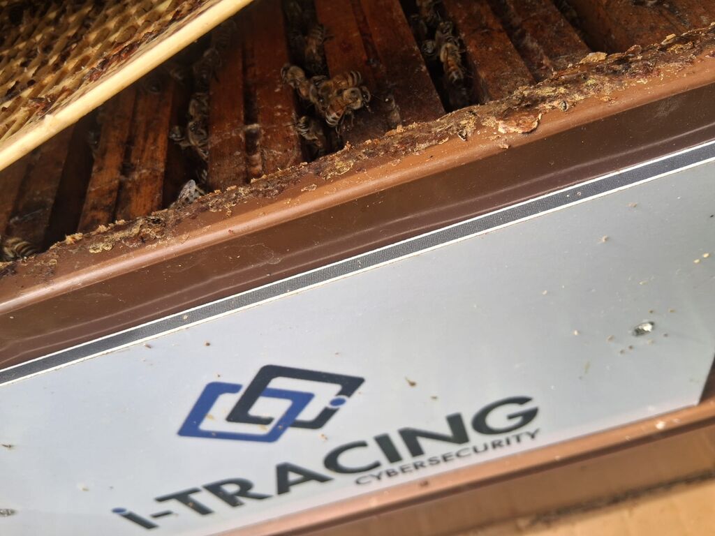 La ruche I-TRACING