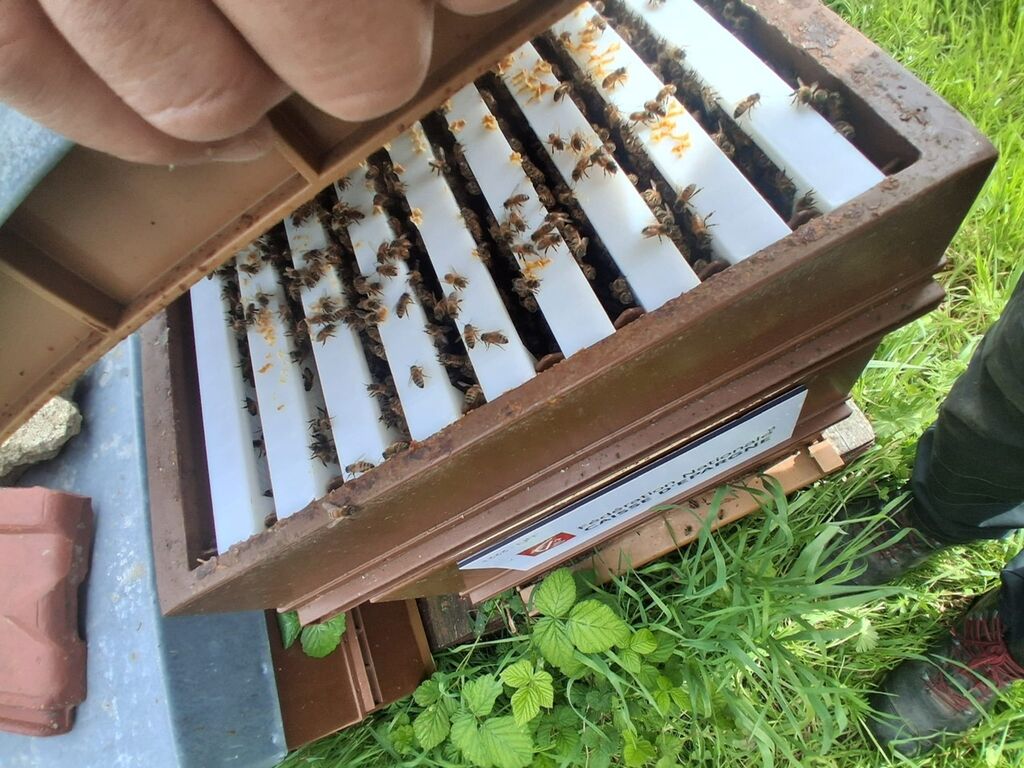 La ruche Fédération Caisse Epargne