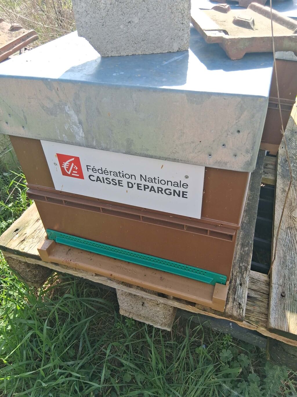 La ruche Fédération Caisse Epargne