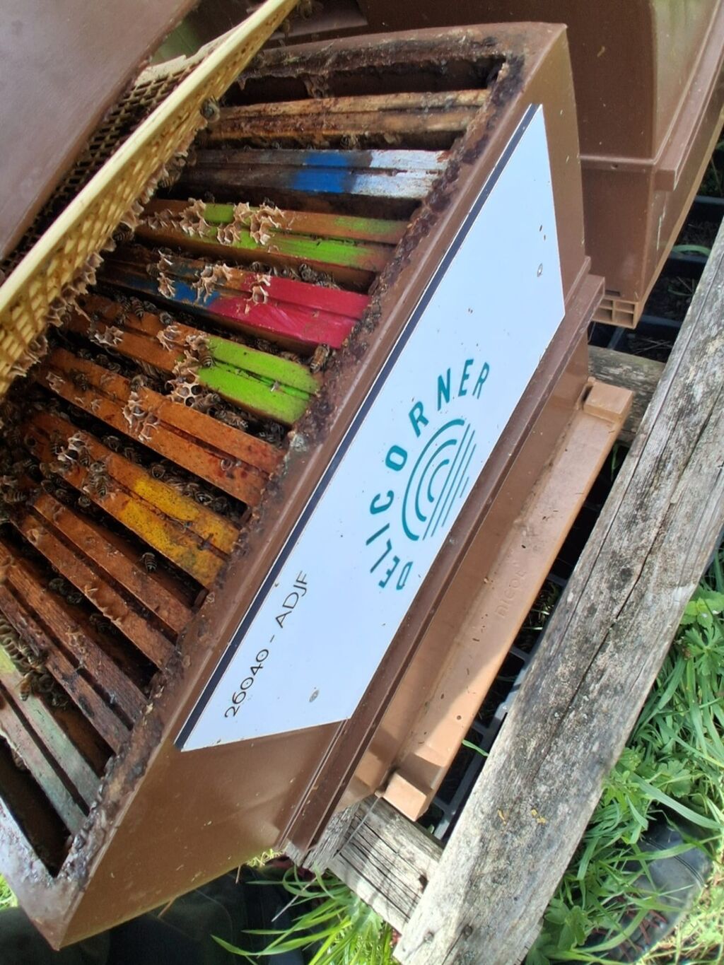 La ruche Delicorner