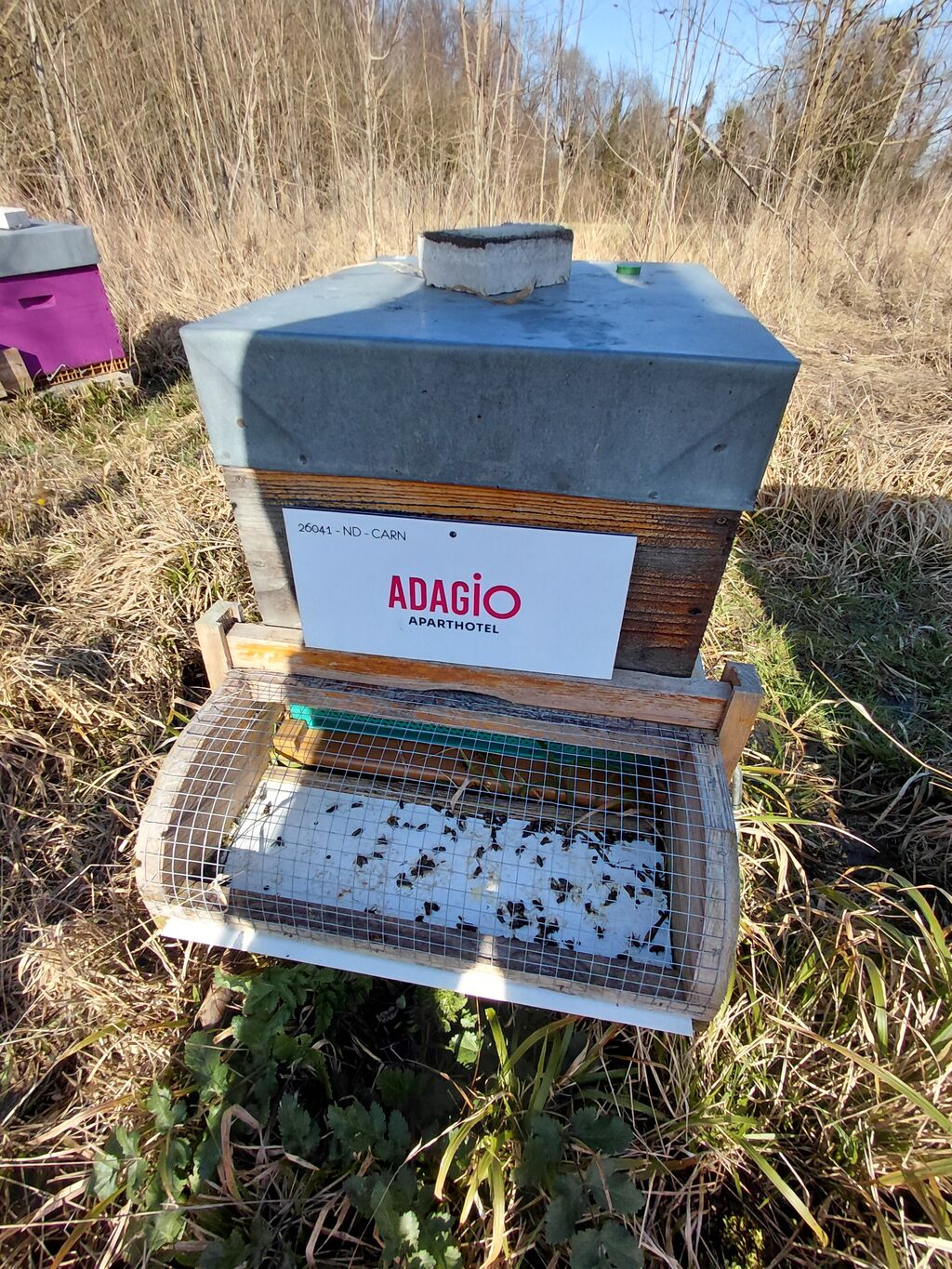 La ruche Adagio Paris Buttes Chaumont