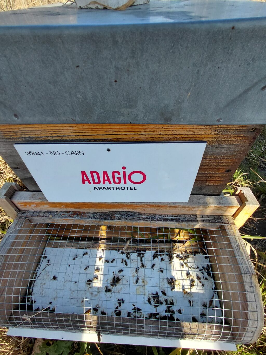 La ruche Adagio Paris Buttes Chaumont