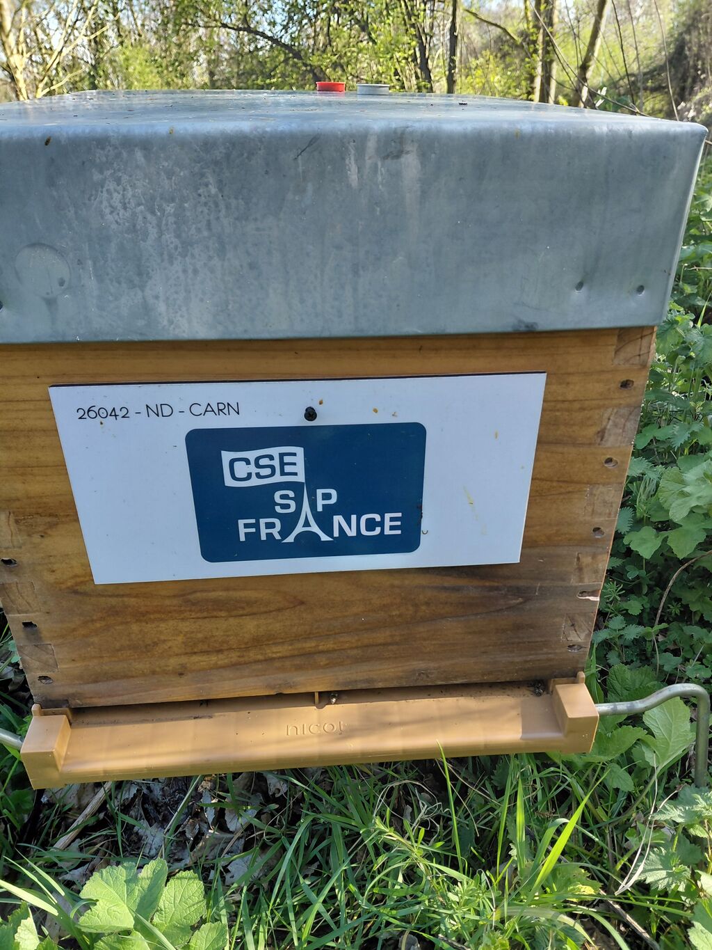 La ruche CSE SAP France