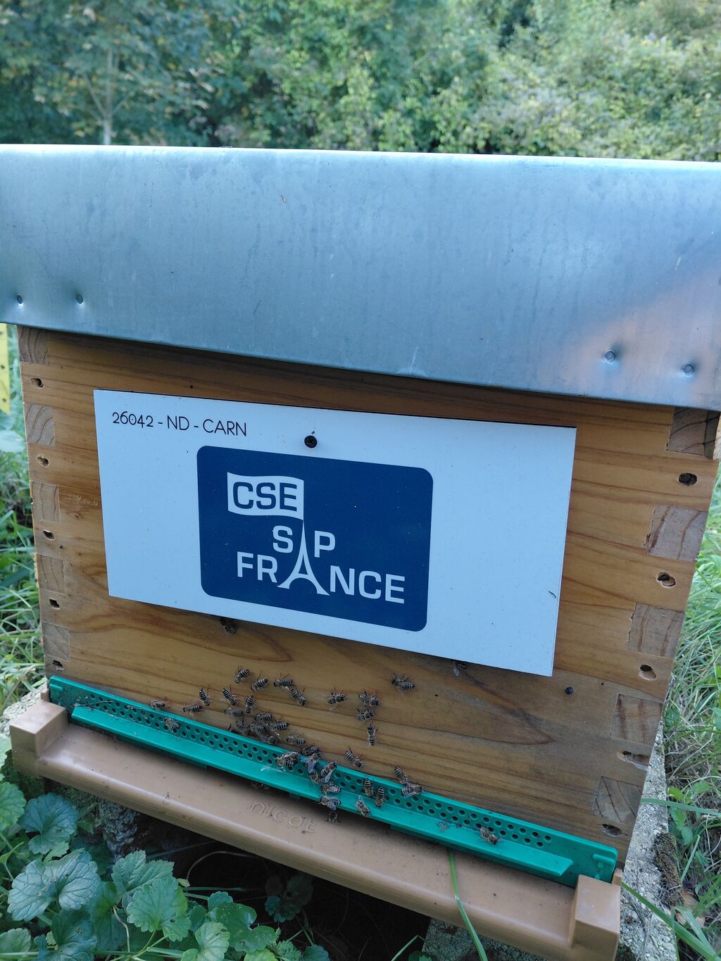 La ruche CSE SAP France