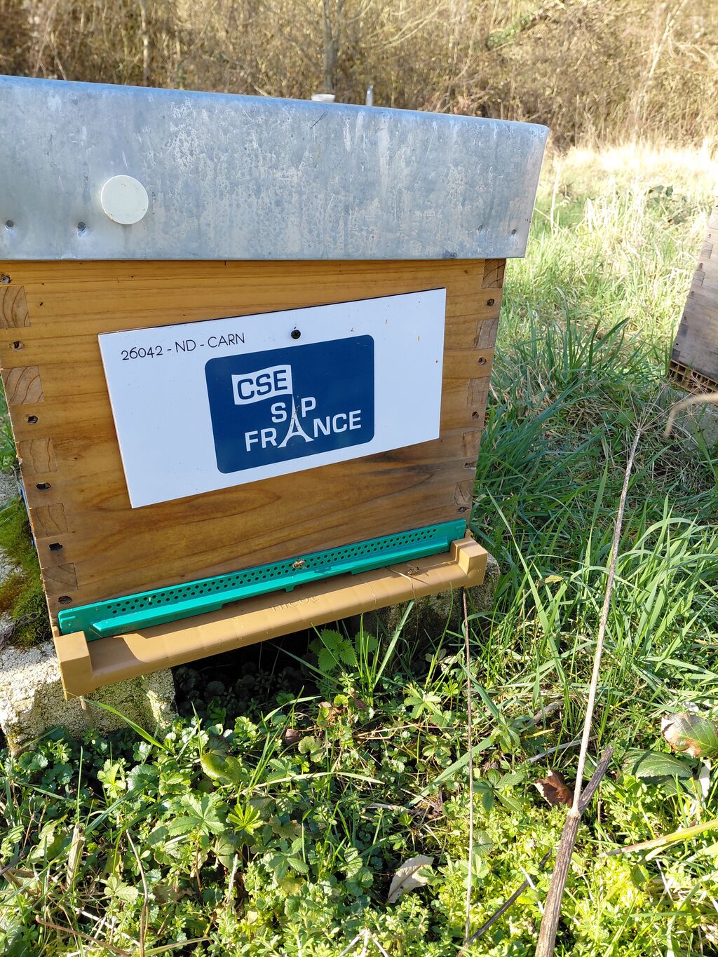 La ruche CSE SAP France