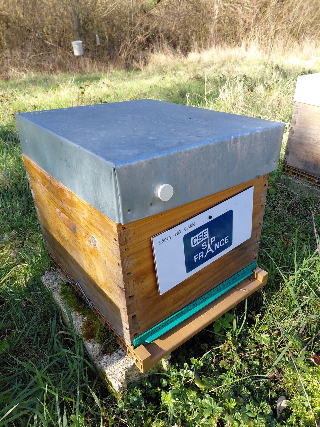 La ruche CSE SAP France