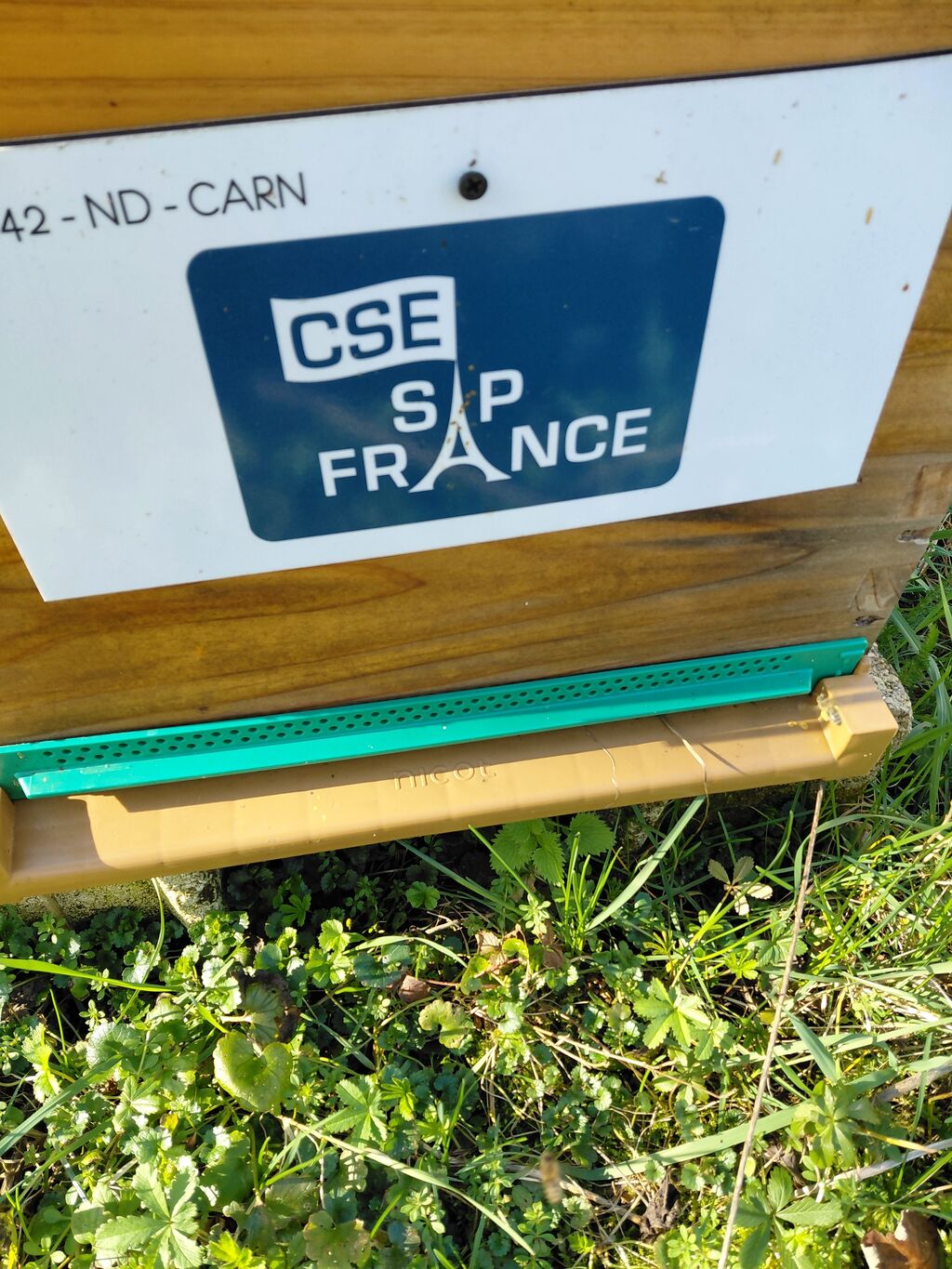 La ruche CSE SAP France