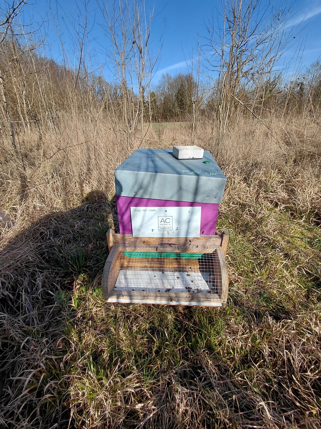 La ruche AC HOTEL PARIS LE BOURGET AIRPORT