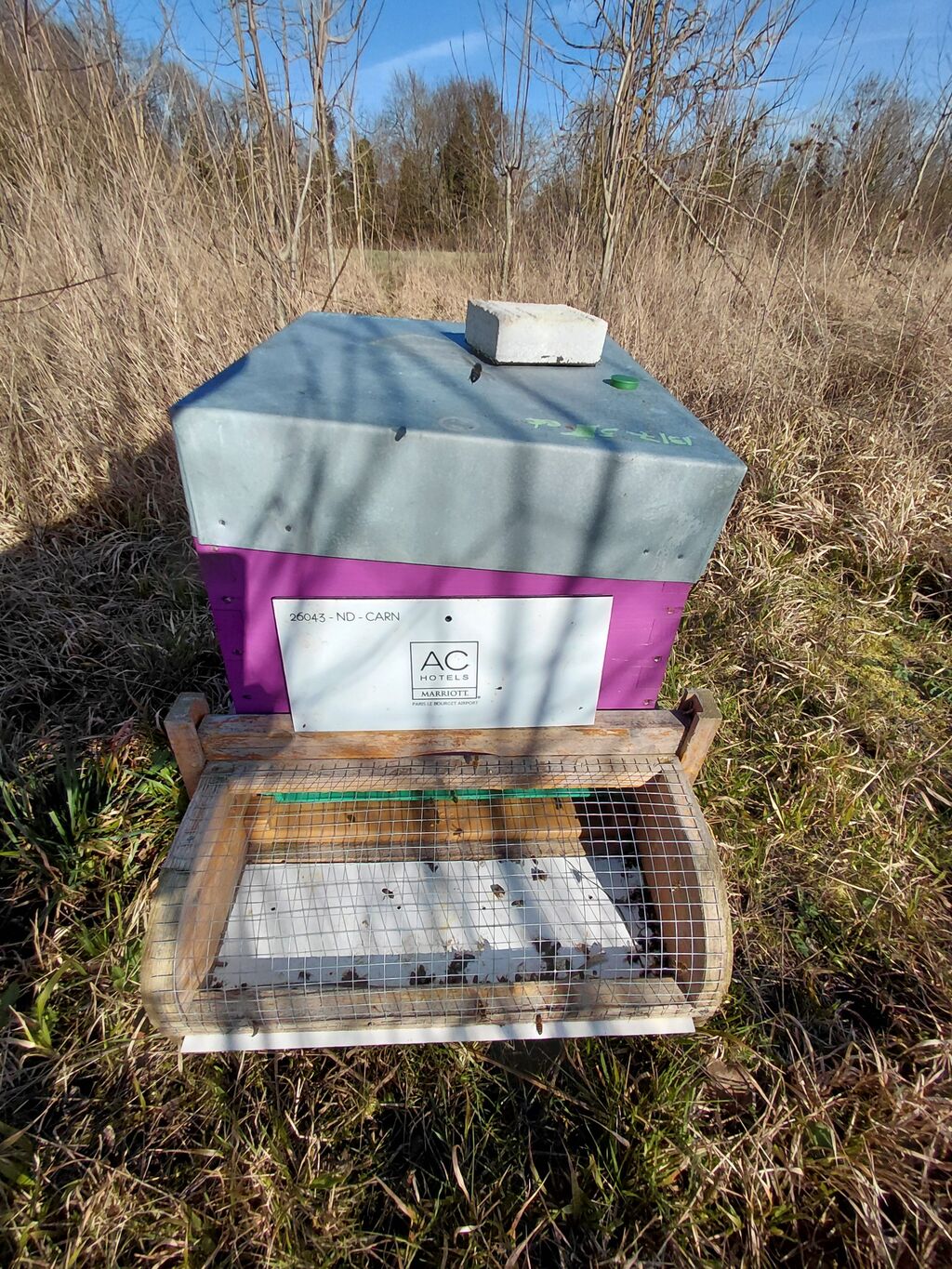 La ruche AC HOTEL PARIS LE BOURGET AIRPORT