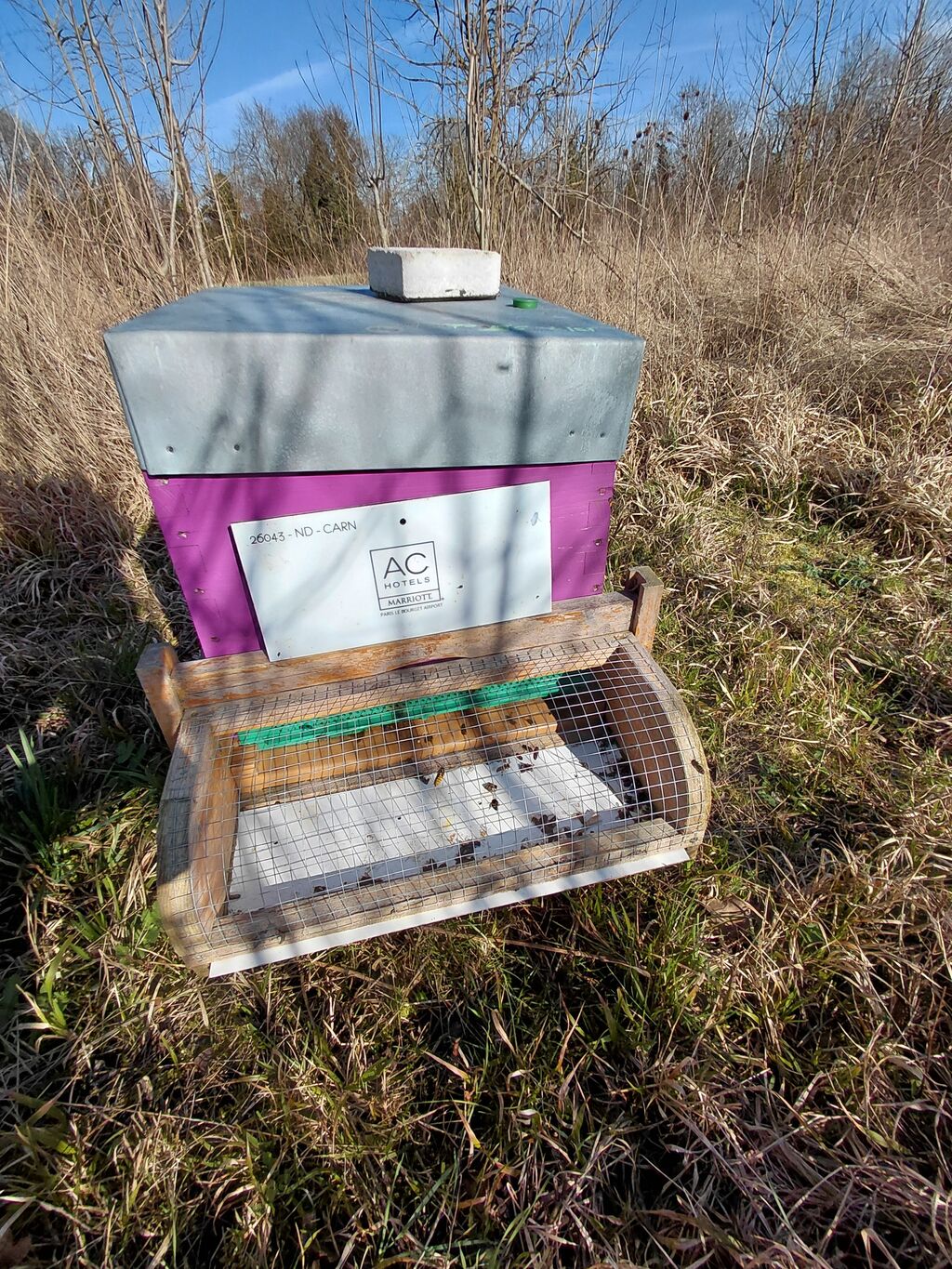 La ruche AC HOTEL PARIS LE BOURGET AIRPORT