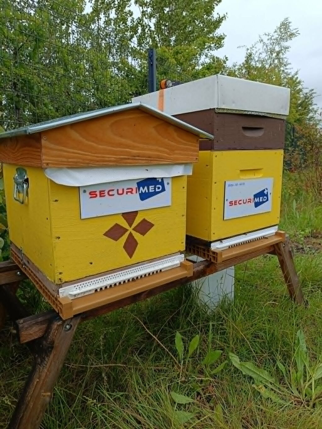 La ruche SECURIMED