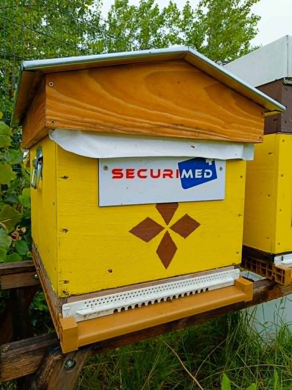 La ruche SECURIMED