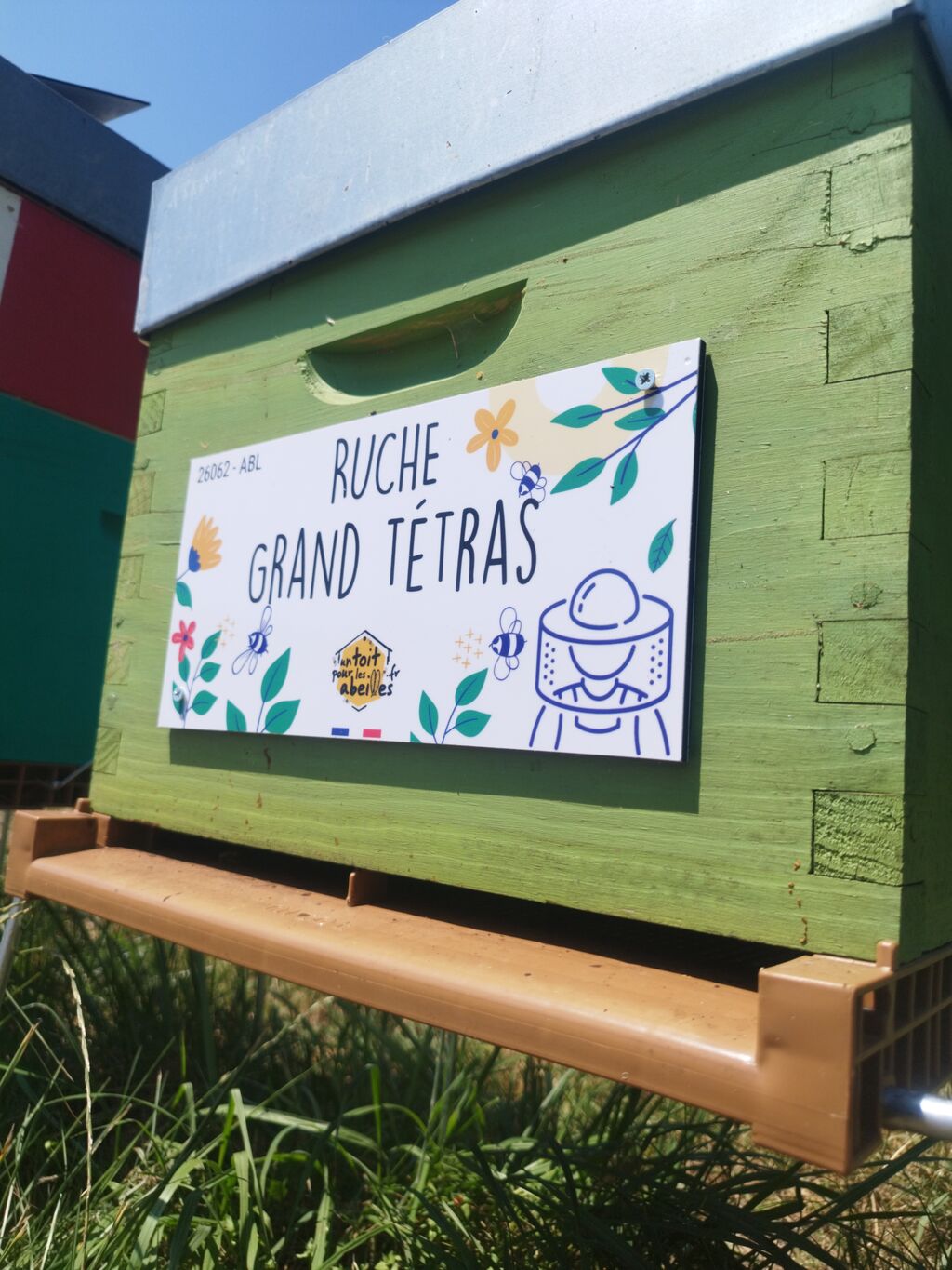La ruche Grand tétras