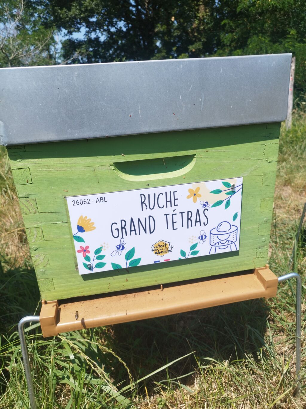La ruche Grand tétras