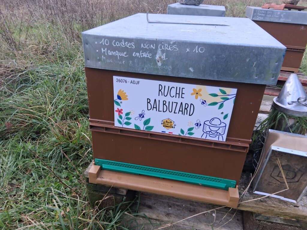 La ruche Balbuzard