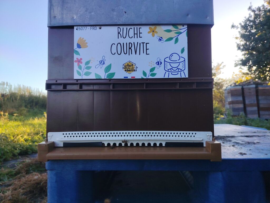 La ruche Courvite