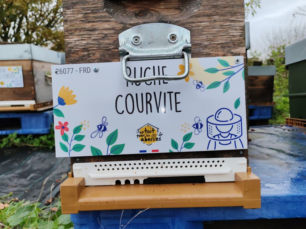 La ruche Courvite