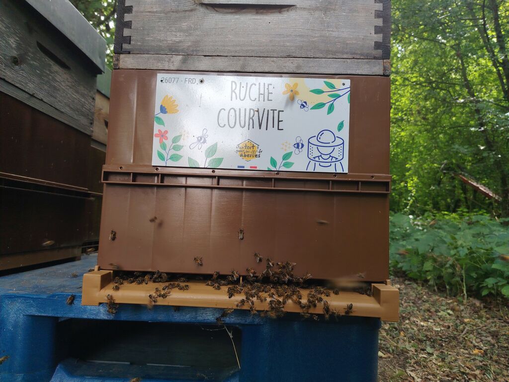 La ruche 