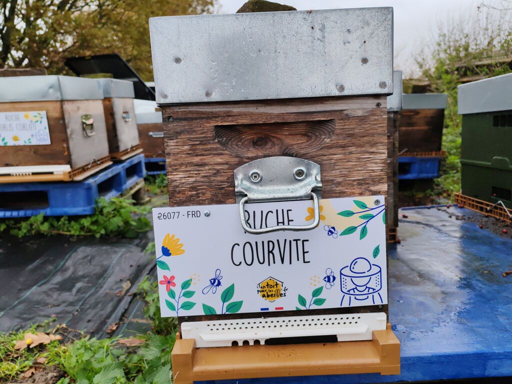 La ruche Courvite