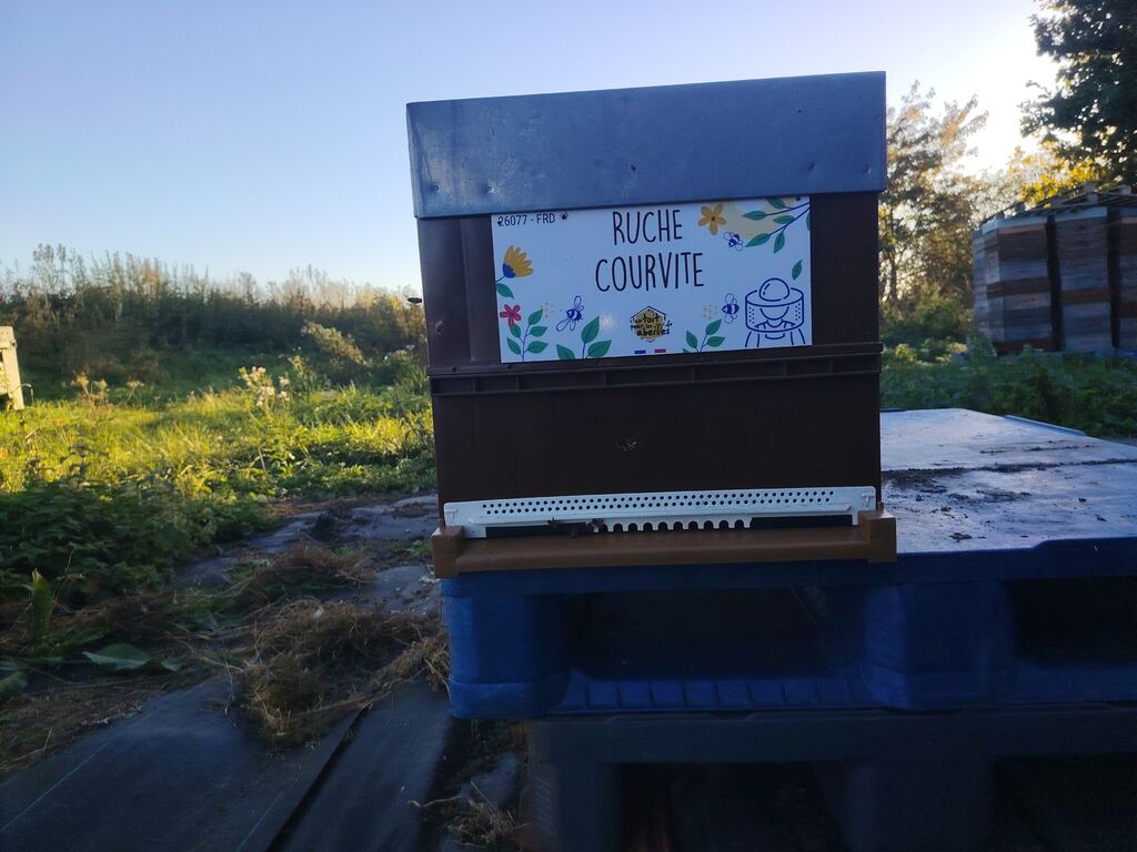 La ruche Courvite