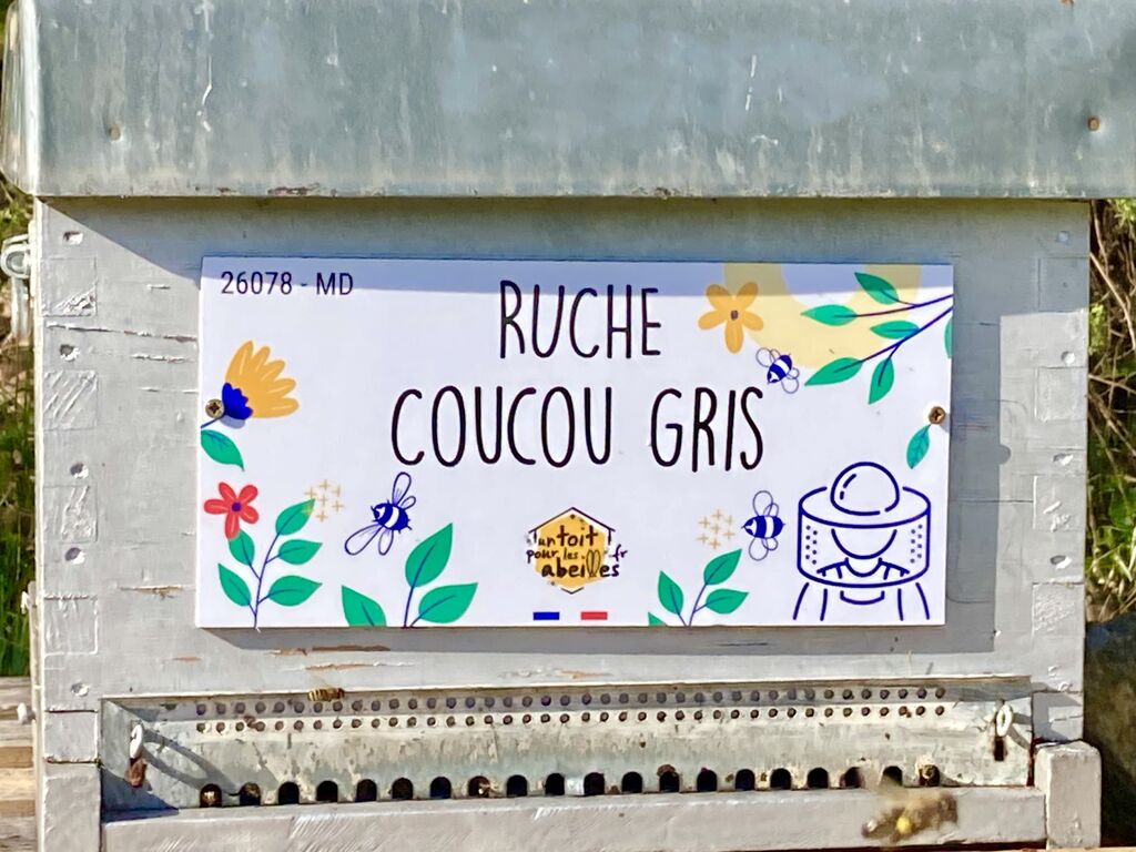 La ruche Coucou gris