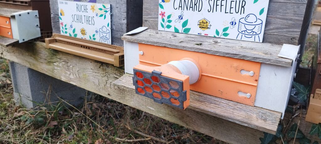 La ruche Canard siffleur