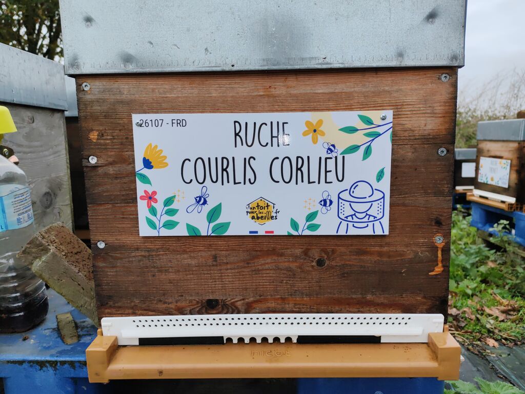 La ruche Courlis corlieu