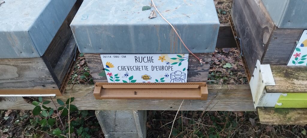 La ruche Chevechette d