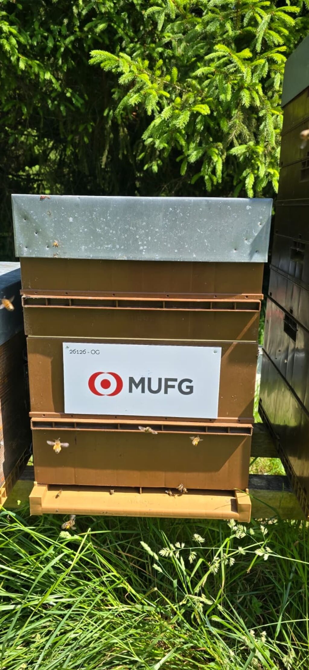 La ruche MUFG Paris
