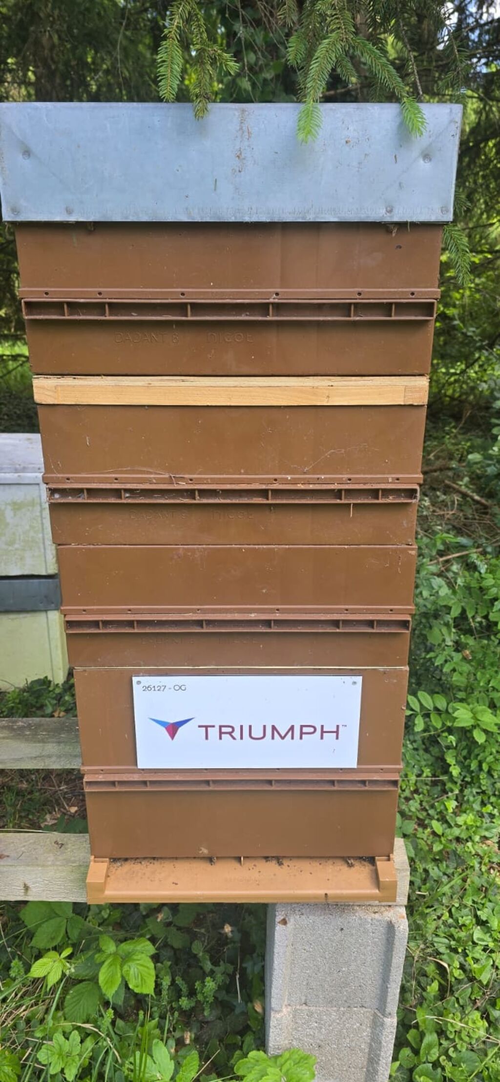 La ruche Triumph Controls France