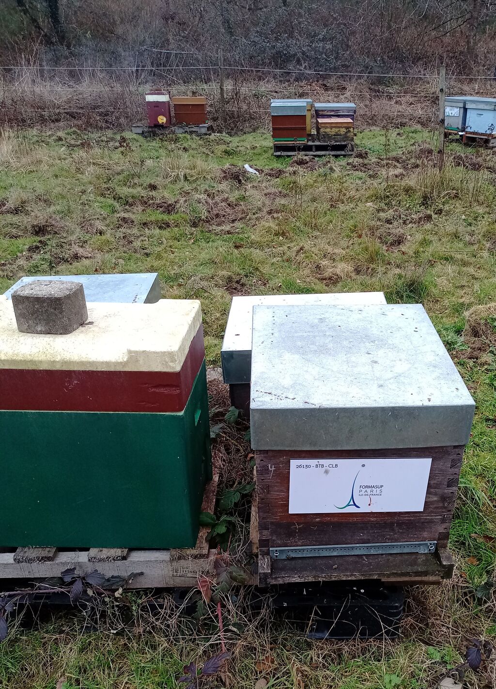 La ruche FORMASUP PARIS IDF