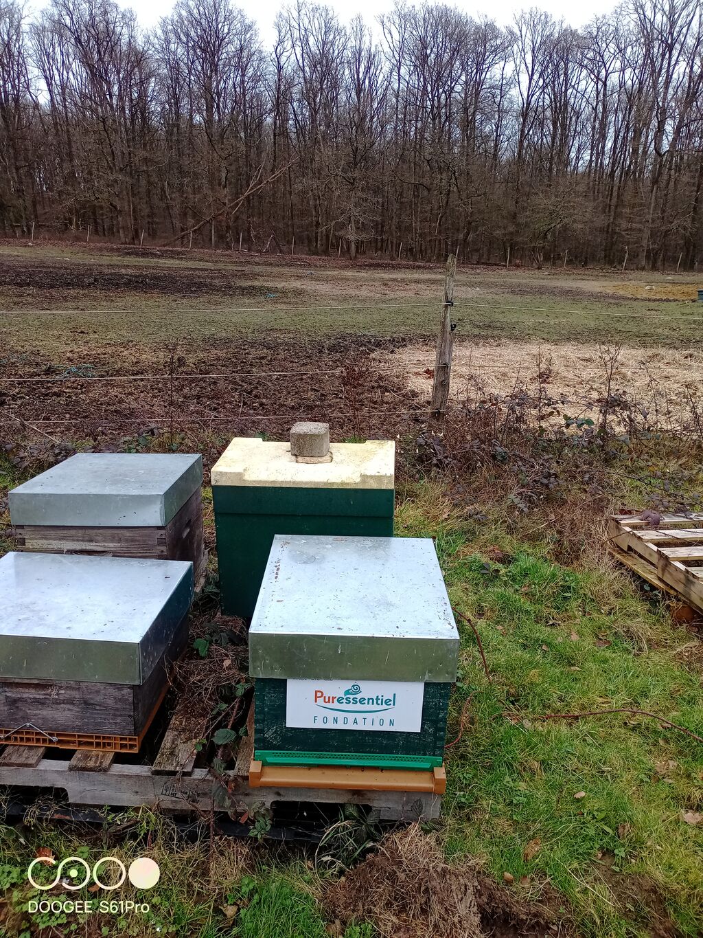 La ruche FONDATION PURESSENTIEL