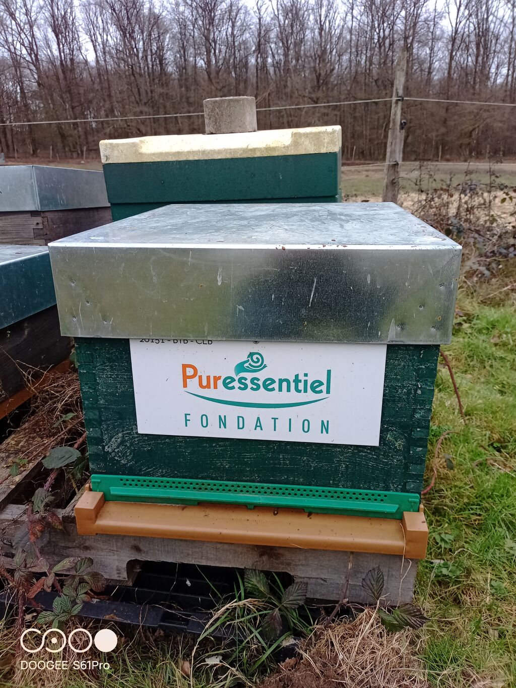 La ruche FONDATION PURESSENTIEL