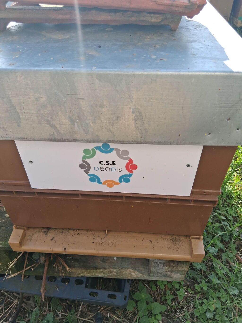 La ruche Cse deodis