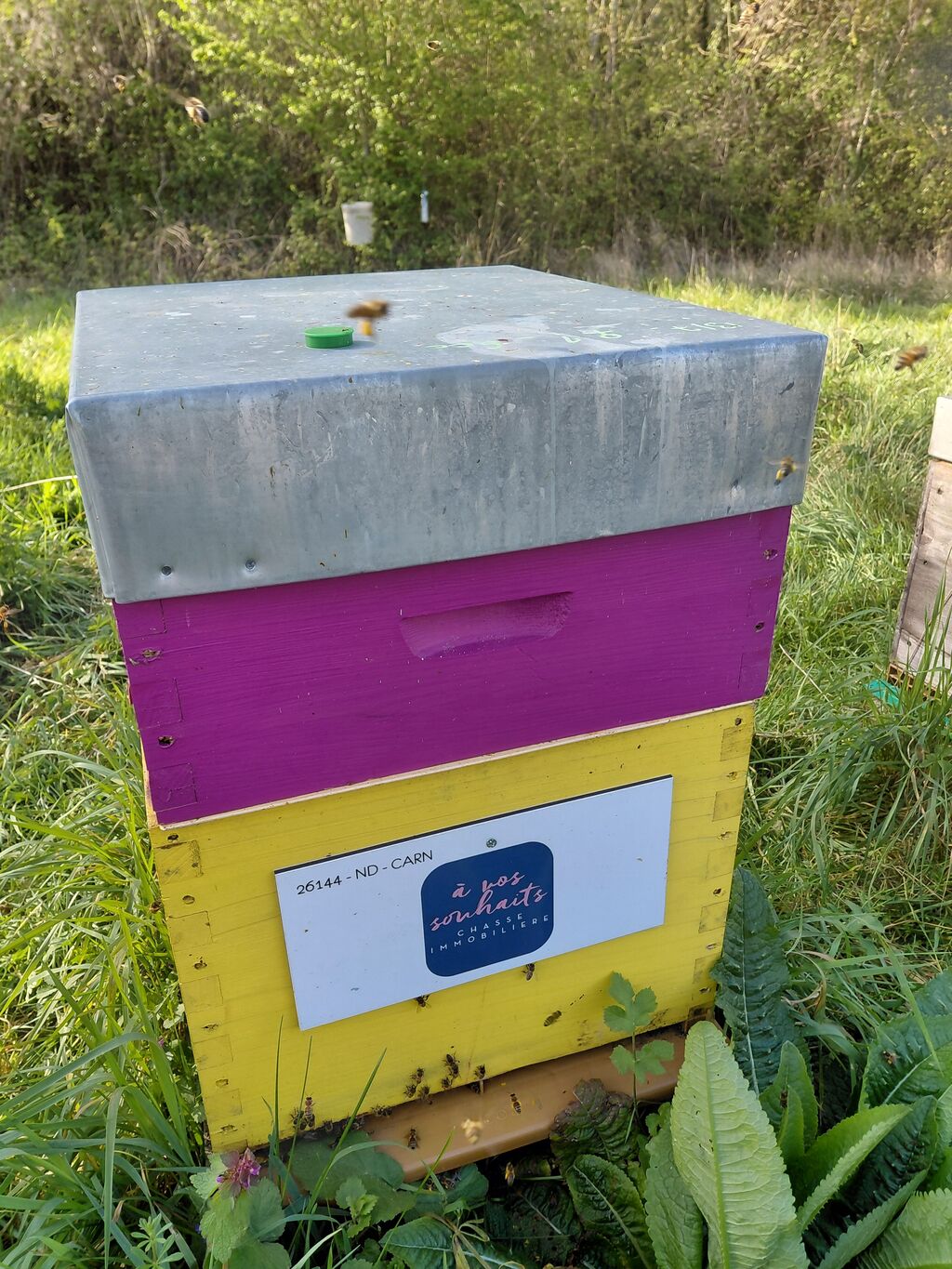 La ruche A Vos Souhaits !