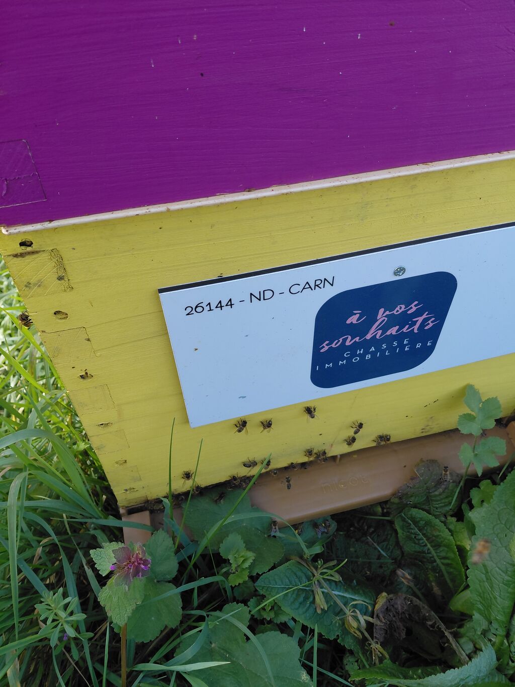 La ruche A Vos Souhaits !