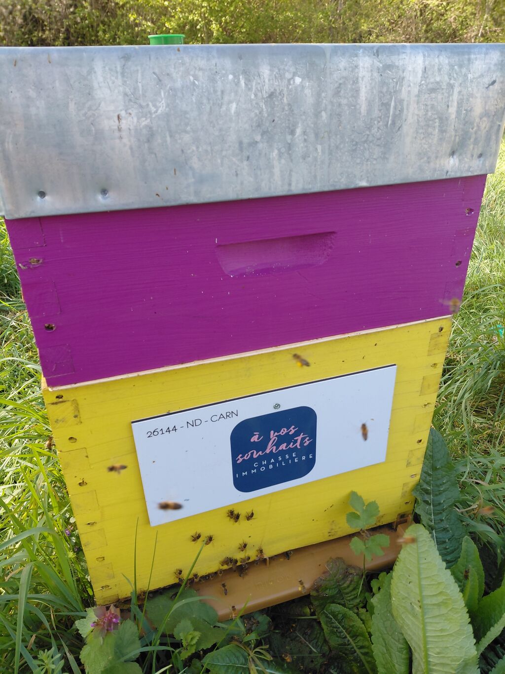 La ruche A Vos Souhaits !