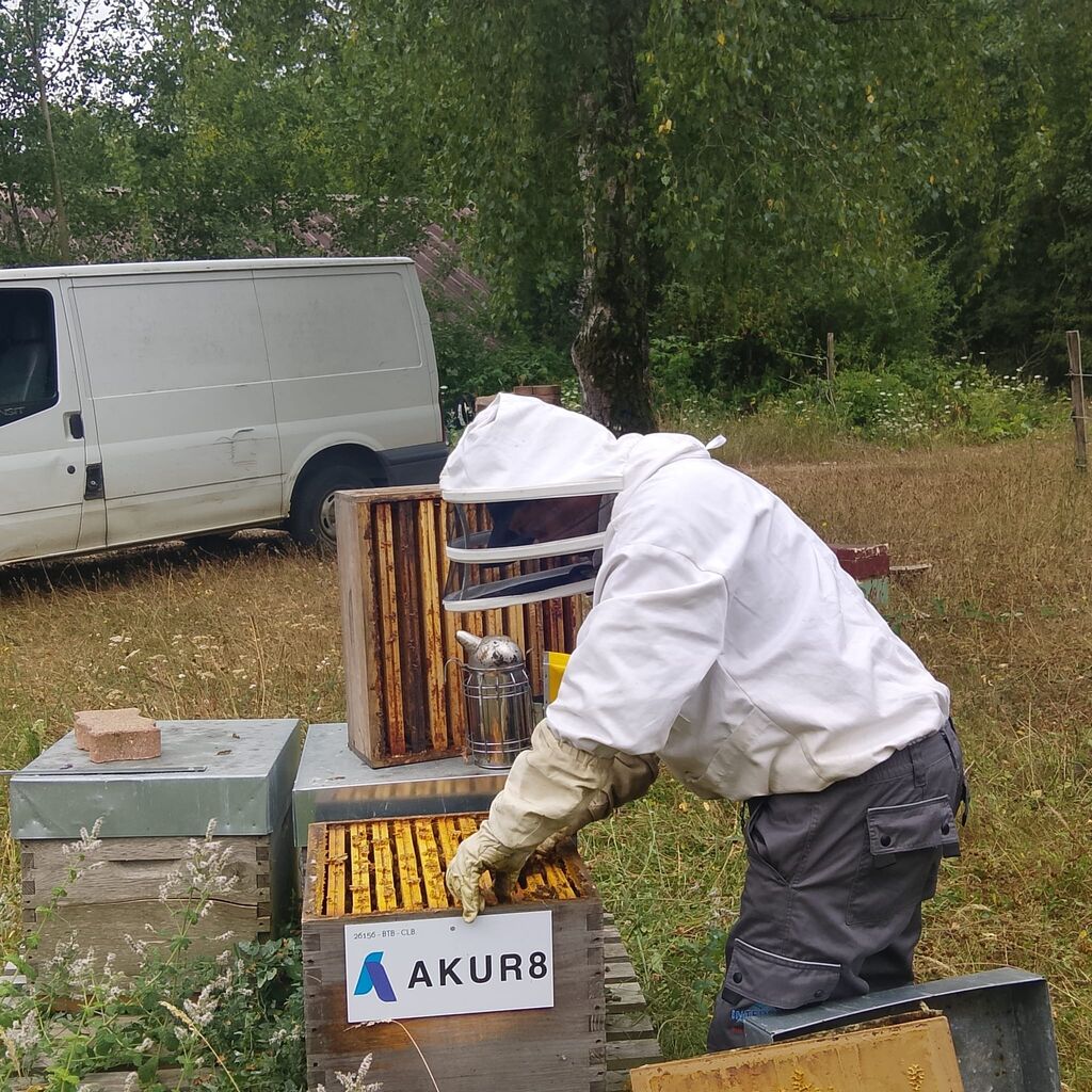 La ruche AKUR8