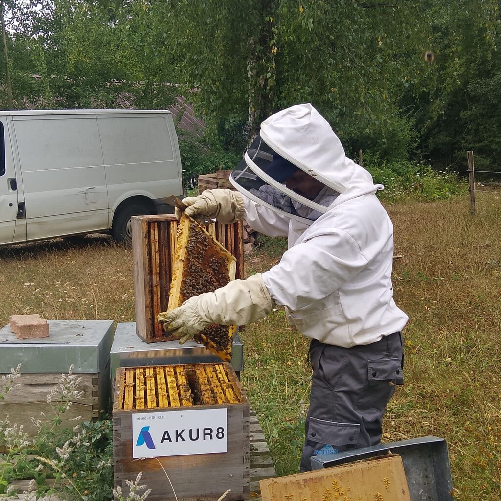 La ruche AKUR8